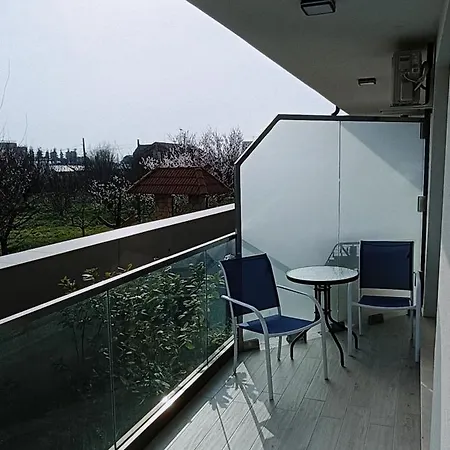 Andreea Apartamento